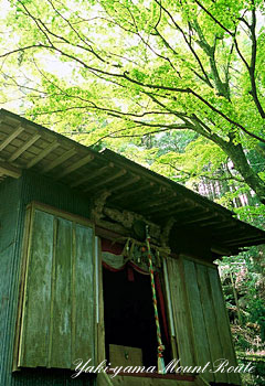 Image of Kumano kodou