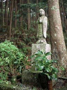 ���n���l