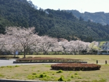 �n�_������L��