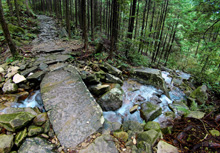 �n�z���̐Ώ�i�I�k�����j