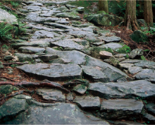 �n�z���R�[�X