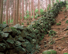 �O�ؓ��`�H�㓻�R�[�X