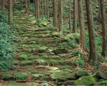 �]�����Y��E���Y��R�[�X