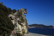 �V���C������