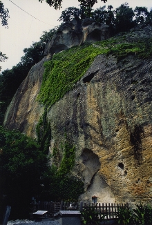 �Ԃ̌A�Ƃ��Ȃ����_��