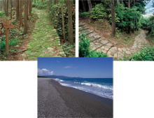 ���`���E���_���E�l�X���i�k�j�R�[�X