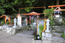 ���艄���n��