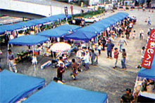 �؂ĊC�Ďs��i���Ă݂Ă����΁j