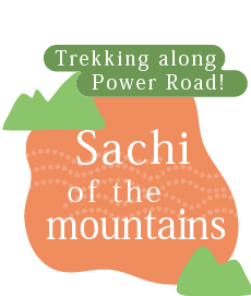 It is trekking riches of the soil in power road